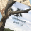 Cover of Codeword books 6 and 19